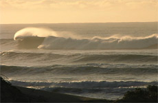 wave
